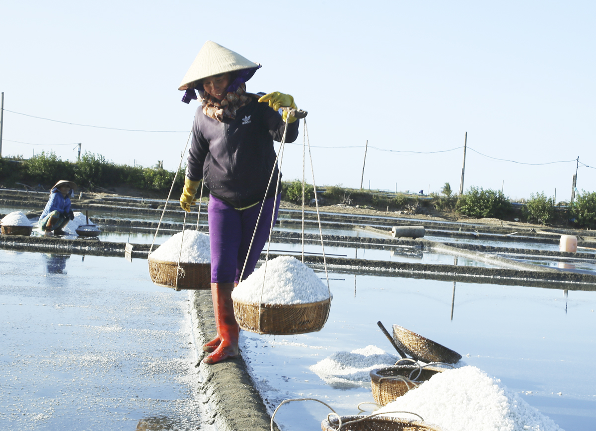 Nhọc nhằn nghề muối Cát Minh